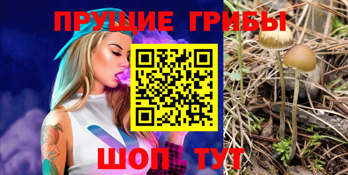 Галлюциногенные грибы ЛСД Кимры